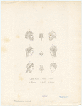 Image ID 825276