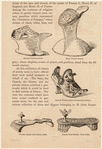 Image ID 825382