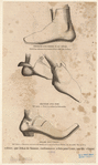 Image ID 825388