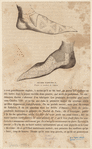 Image ID 825389