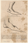 Image ID 825390