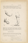 Image ID 825391