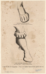 Image ID 825395