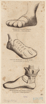Image ID 825397