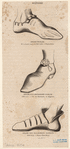 Image ID 825400