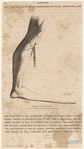 Image ID 825401