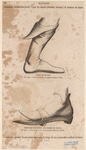 Image ID 825403