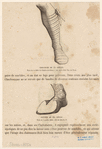 Image ID 825410