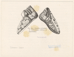 Image ID 825411