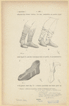 Image ID 825415