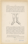 Image ID 825417