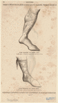 Image ID 825419