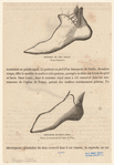 Image ID 825420