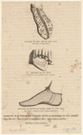 Image ID 825424
