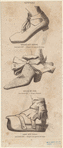 Image ID 825435