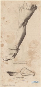 Image ID 825436