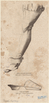 Image ID 825436