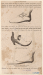 Image ID 825441
