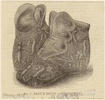 Image ID 825457