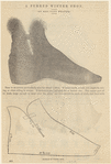 Image ID 825466