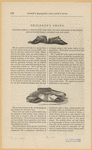 Image ID 825472