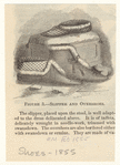 Image ID 825485