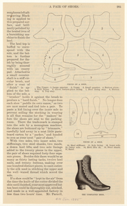 Image ID 825488