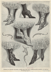 Image ID 825503
