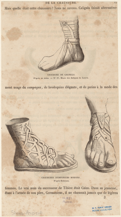 Image ID 825574
