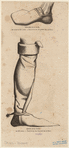 Image ID 825595