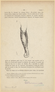 Image ID 825598