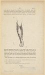Image ID 825598