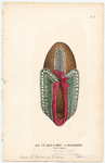 Image ID 825628
