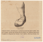 Image ID 825630