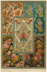 Image ID 825732