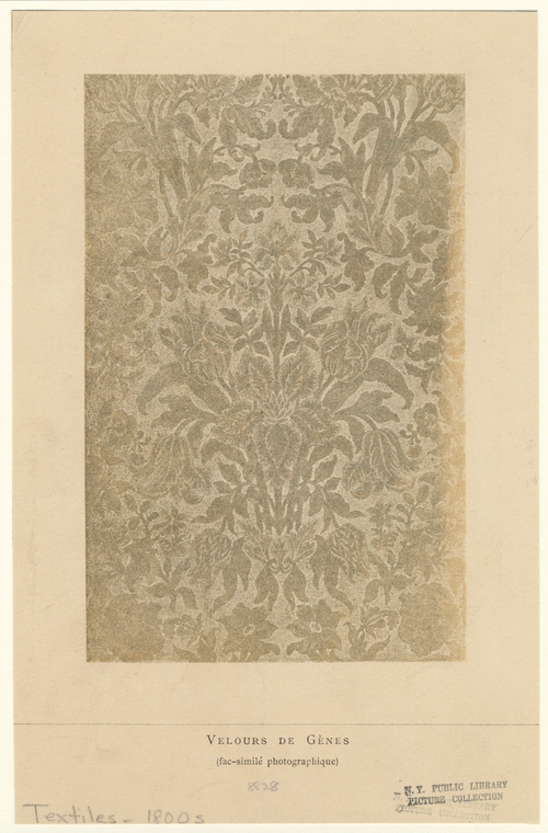 Image ID 825746
