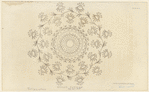 Image ID 825775