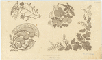Image ID 825792