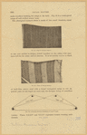 Image ID 825798