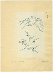 Image ID 825862