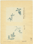 Image ID 825865