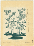 Image ID 825887