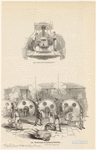 Image ID 825892