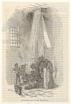 Image ID 825918
