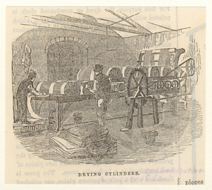 Image ID 825923