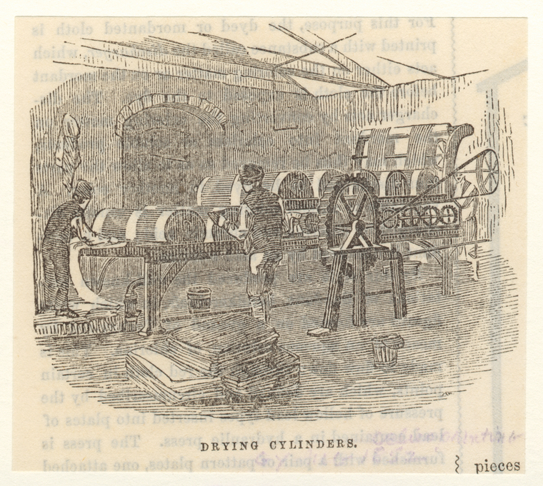 Image ID 825923
