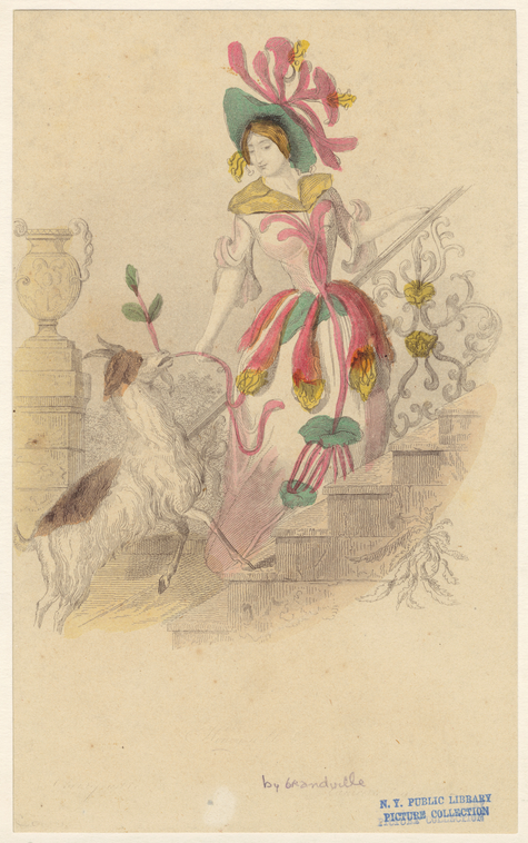 Image ID 826083
