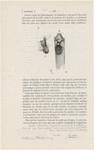 Image ID 826158
