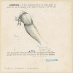 Image ID 826177