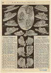 Image ID 826282